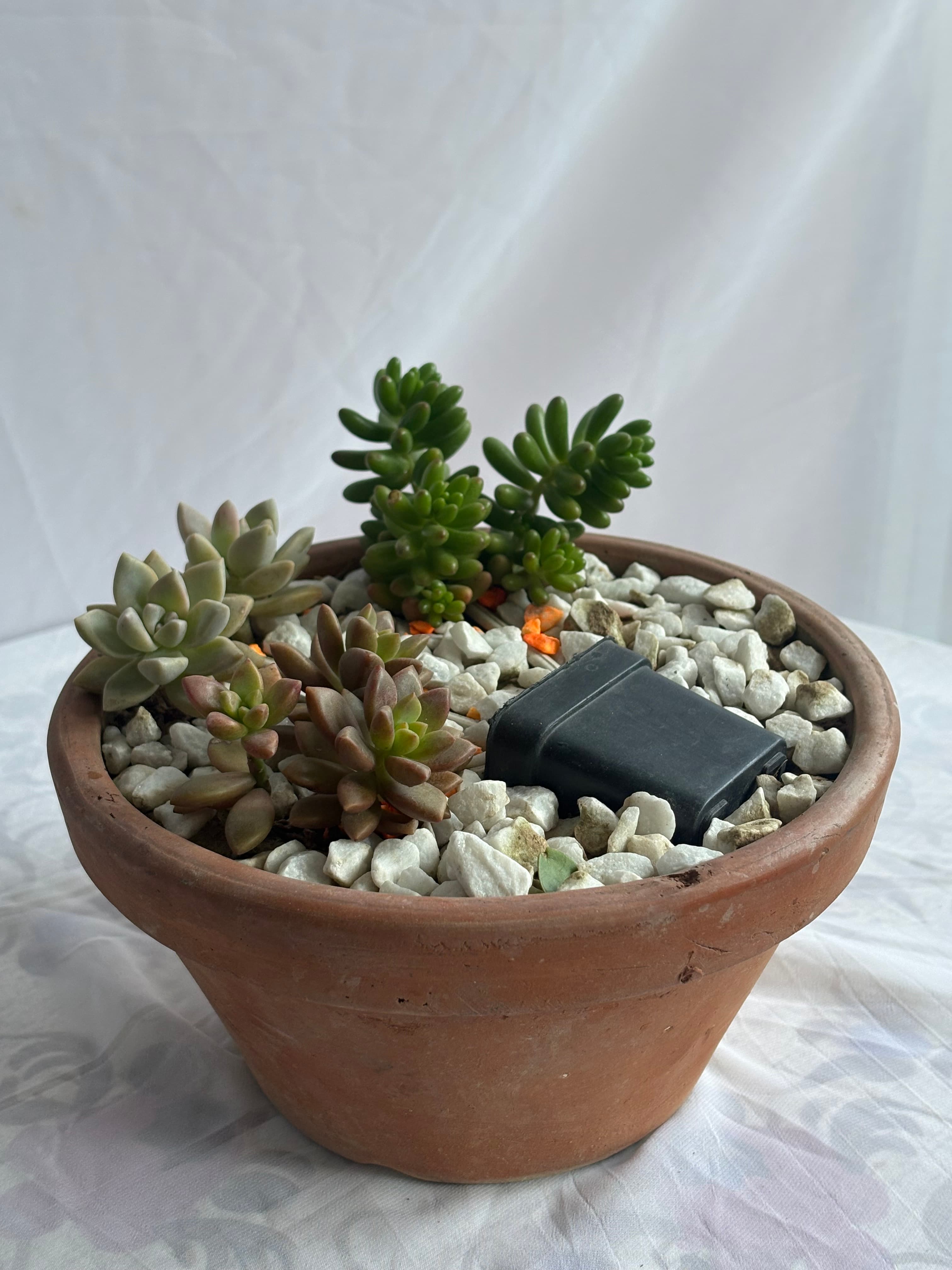 Mini Zen Garden