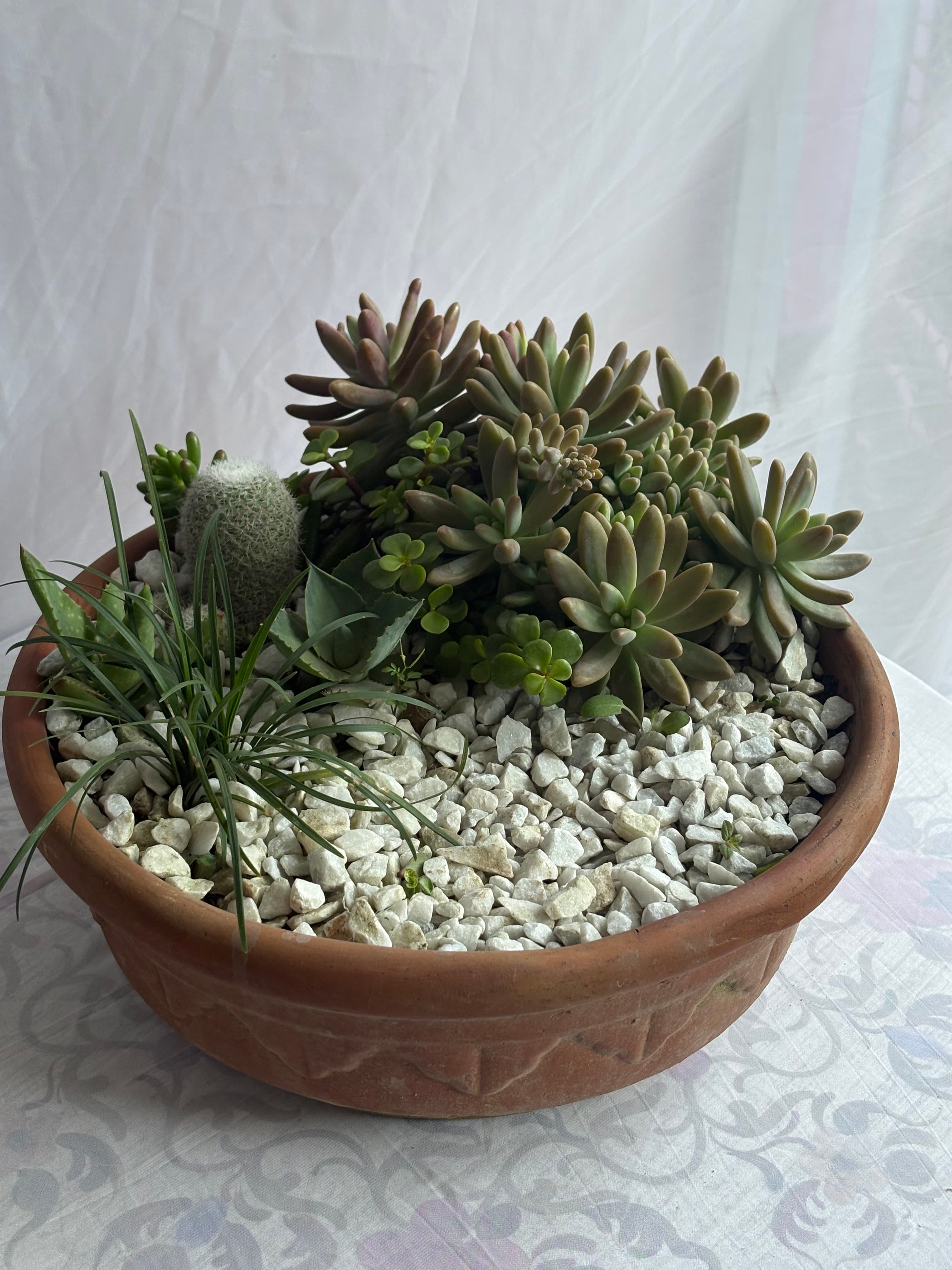 Zen Garden Standard