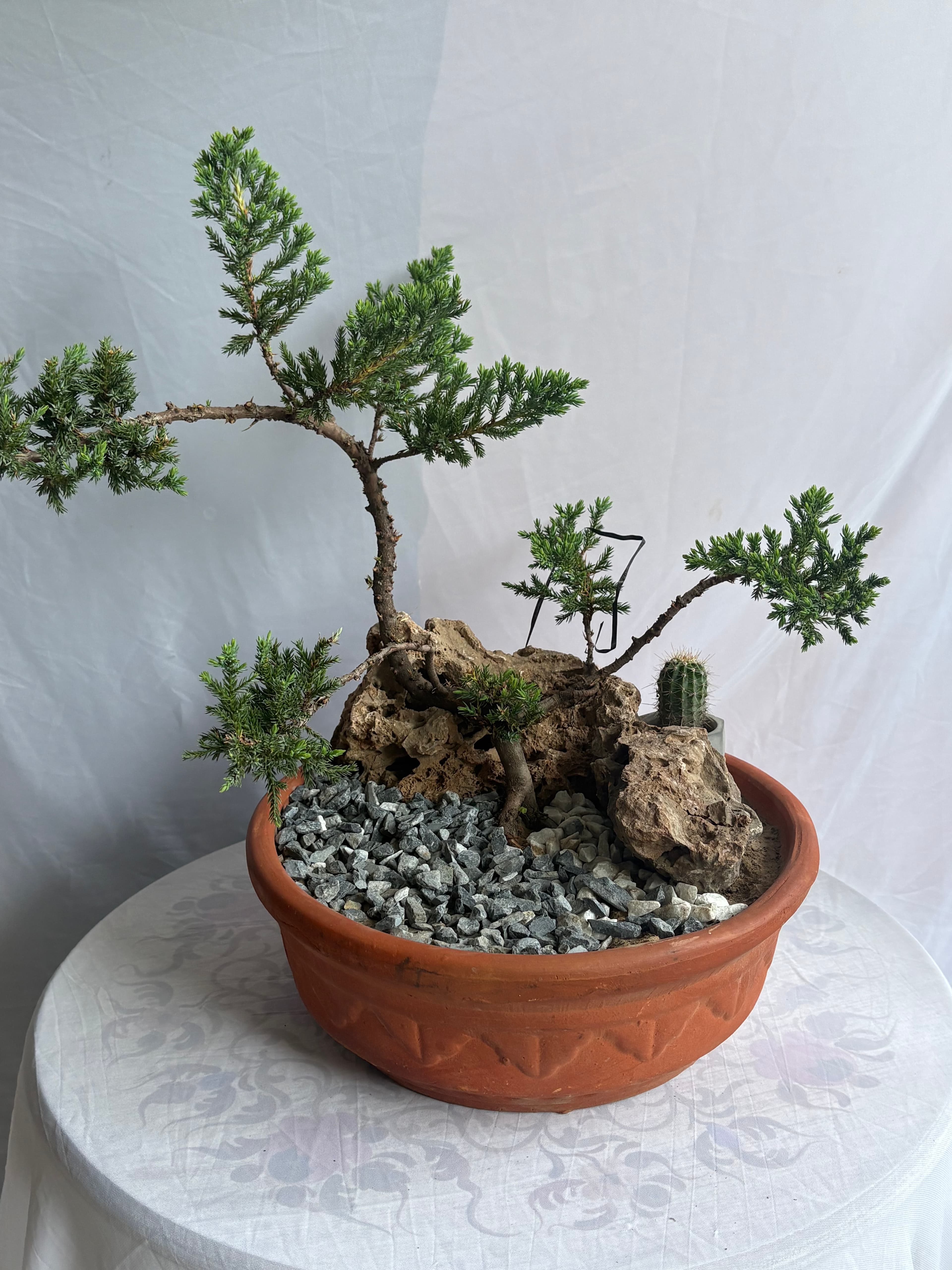 Zen Garden Luxe